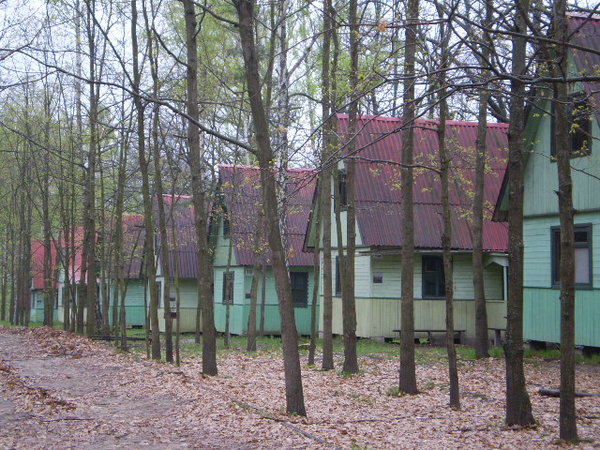 03802456.jpg