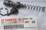      Yamaha MT09, Tracer, XSR900